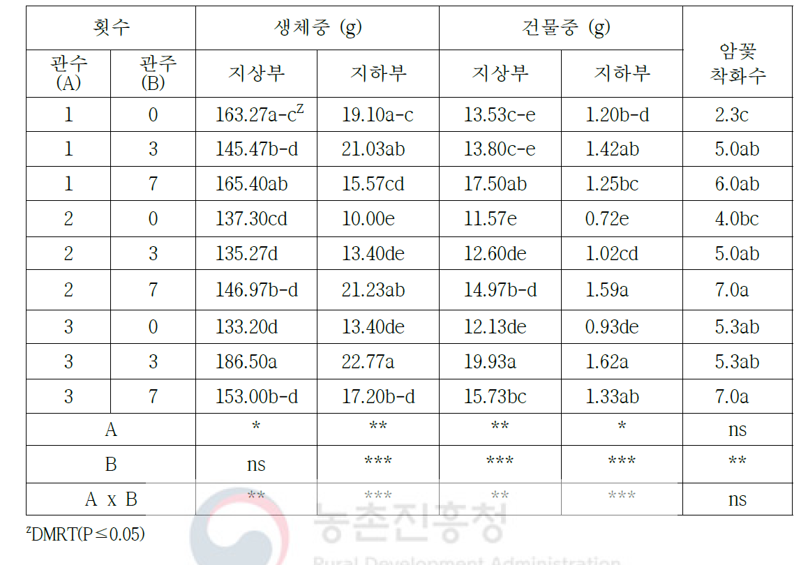 관수 및 관주 횟수에 따른 오이 종이포트 접목묘의 정식 후 생육(정식 4주 후)