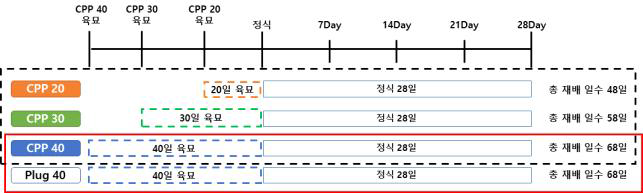 오이 실험 모식도