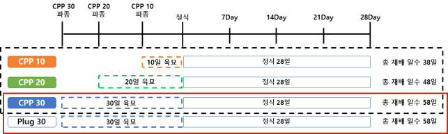 토마토 실험 모식도