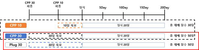 배추 실험 모식도