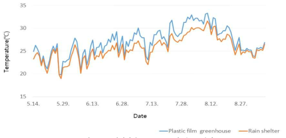 재배기간 중 포트 토양 온도 변화