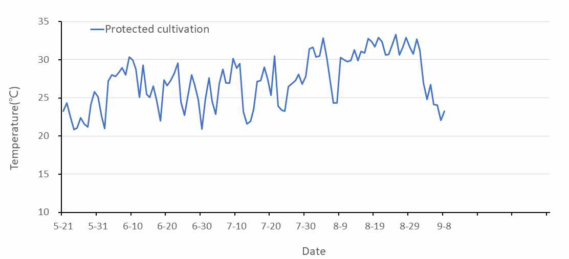 재배기간 중 시설 내부온도 변화(2020)