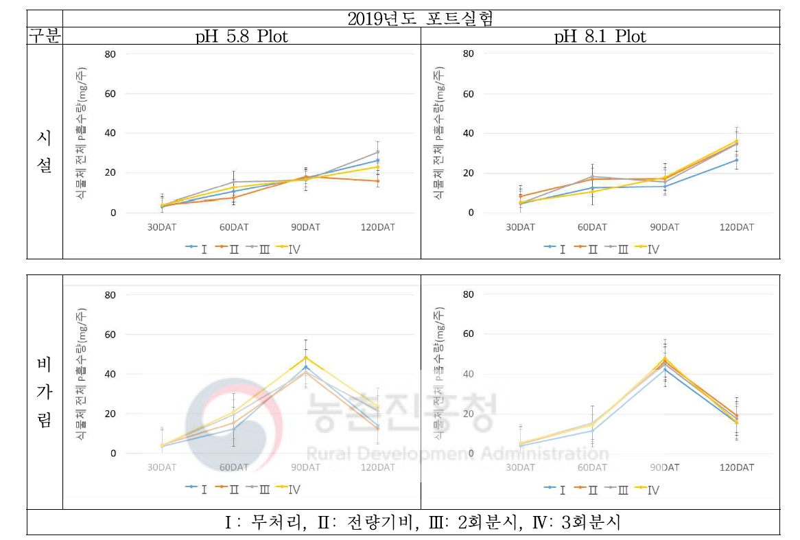 2019년도 시기별 식물체의 P 흡수량 변화