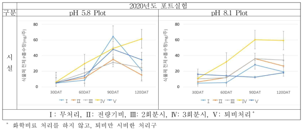 2020년도 시기별 식물체의 P 흡수량 변화