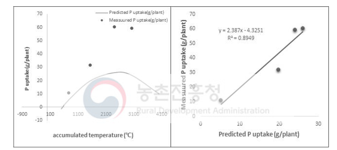 기온에 따른 인흡수량 감소 예측 모의, 온도에 따른 P흡수량 예측 및 실측값 보정