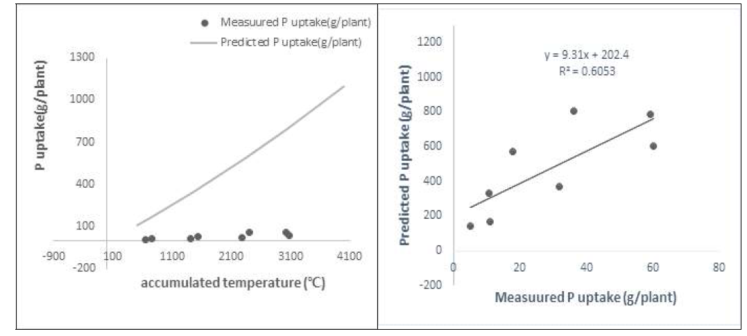 기온에 따른 인 흡수량 예측 모의, 온도에 따른 P흡수량 예측 및 실측값 보정