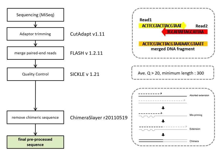 16s rRNA metagenome 염기서열 해독 후 전처리 분석 모식도