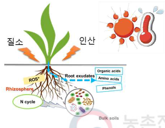 기온 상승 및 양분처리에 의한 작물근권의 마이크로바이옴 변화 모식도