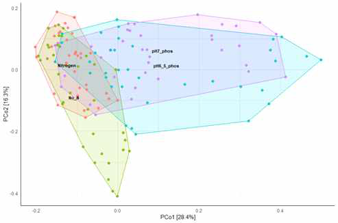 양분처리 조건 차이에 따른 Principal Coordinates Analysis (PCoA)