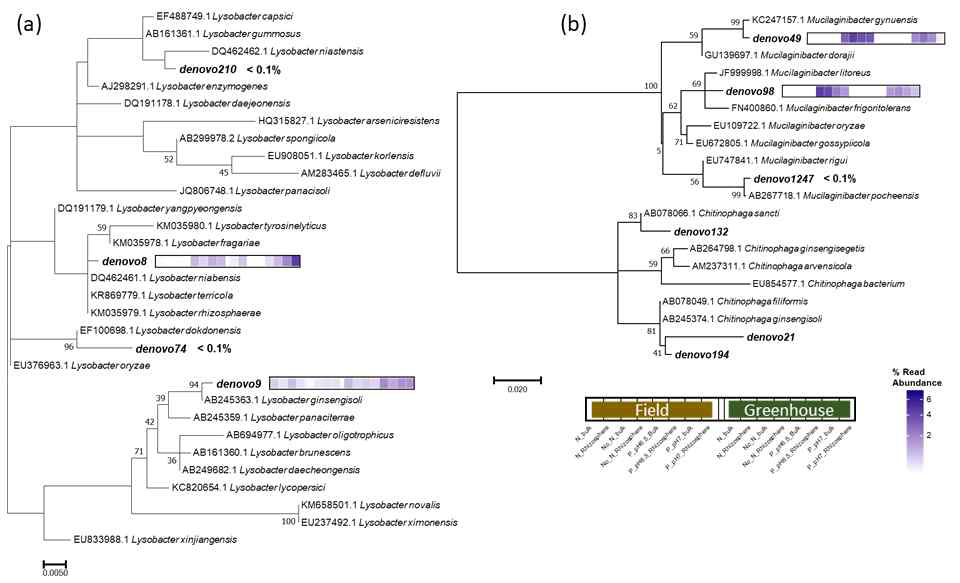 주요 미생물(OUT) 계통 분류 및 상대적 풍부도. (a) Lysobacter , 시설 우점종, (b) Mucilaginibacter, 노지 우점종