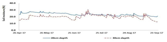 토심 20, 30cm에서 노지의 토양 수분함량