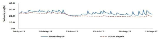 토심 20, 30cm에서 비가림의 토양 수분함량