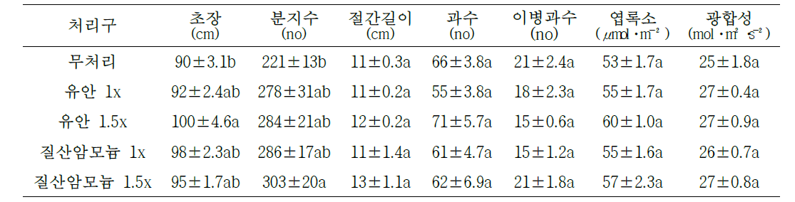 고추 정식 후 90일 생육특성(노지)