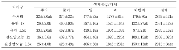 고추 정식 후 90일 생체중(노지)