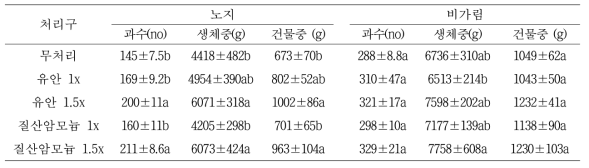 노지 및 비가림재배에서의 최종 수확량