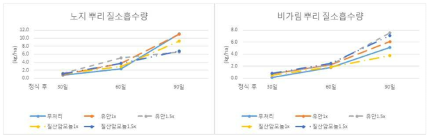 노지 및 비가림재배에서 뿌리 질소흡수량