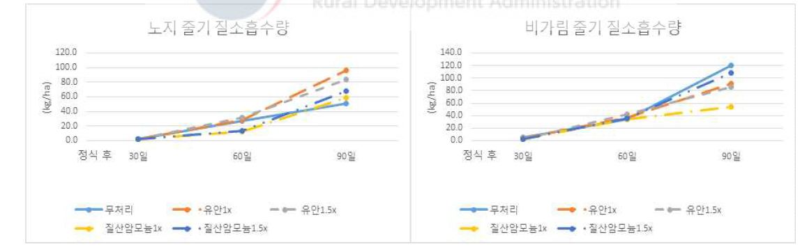 노지 및 비가림재배에서 줄기 질소흡수량