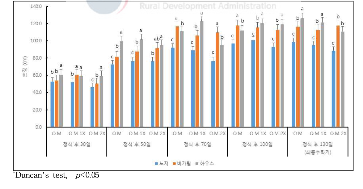 정식 이후 온도처리 및 유기물 수준 변화에 따른 초장의 변화