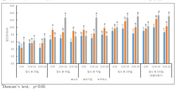 정식 이후 온도처리 및 유기물 수준 변화에 따른 절간길이의 변화