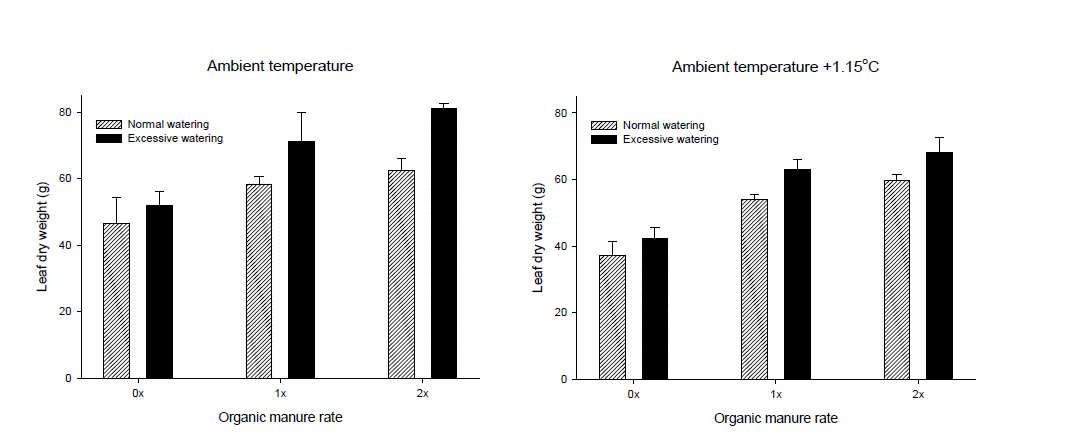 유기물 투입량과 토양수분 수준에 따른 고추 잎의 건중량