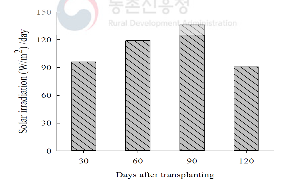 고추 생육기간 온실에서의 조도