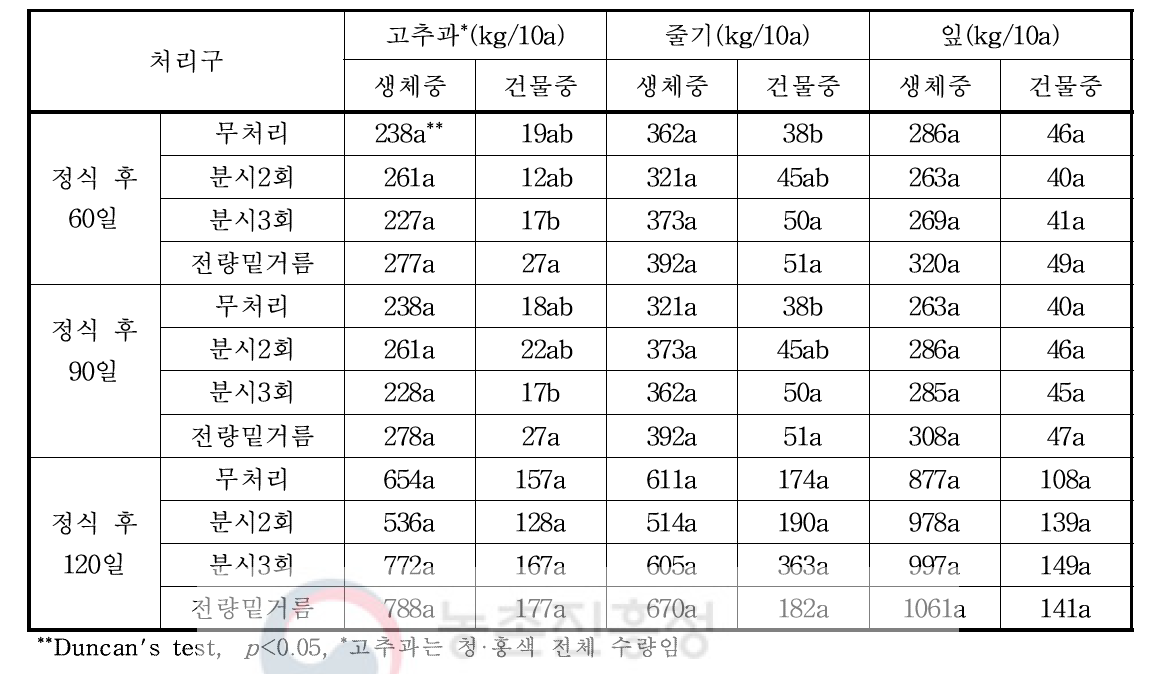 노지재배 고추작물의 생체중 및 건물중