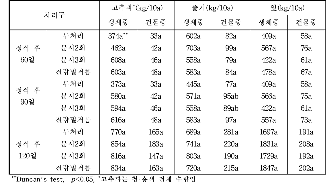 비가림재배 고추작물의 생체중 및 건물중