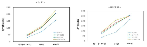 조사 시기별 P 흡수량 변화