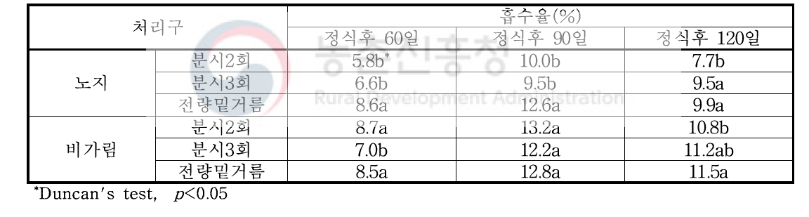 조사 시기별 P 흡수율 변화