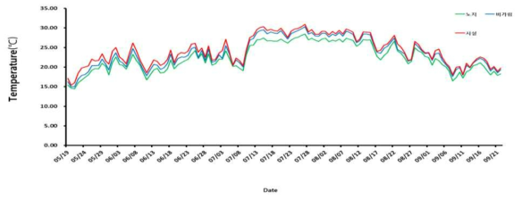 재배기간 중 재배유형별 온도 변화