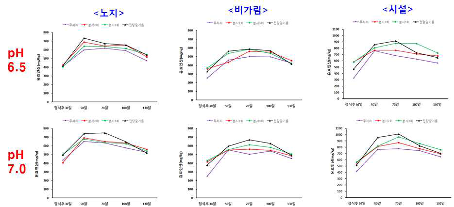 재배유형별 토양 유효인산 함량 변화