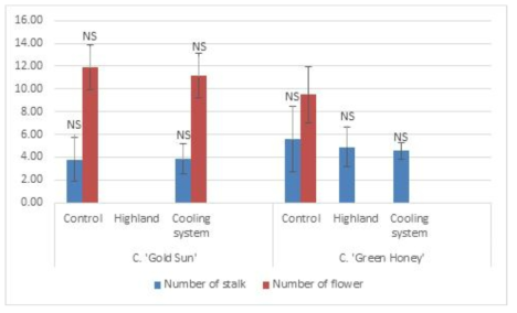 고온기 온도처리 후 심비디움 ‘골드썬’, ‘그린허니’, ‘PN416’(1년생묘) 품종별 꽃대 수 및 꽃 수