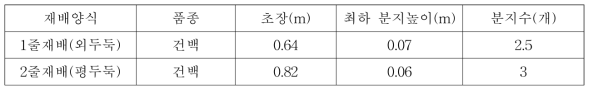 시험용 참깨 특성