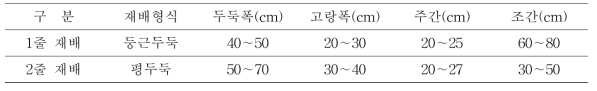 무 관행 재배양식