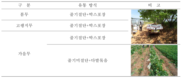 국내 무 유통 체계