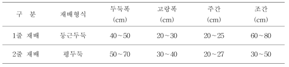 무 관행 재배양식