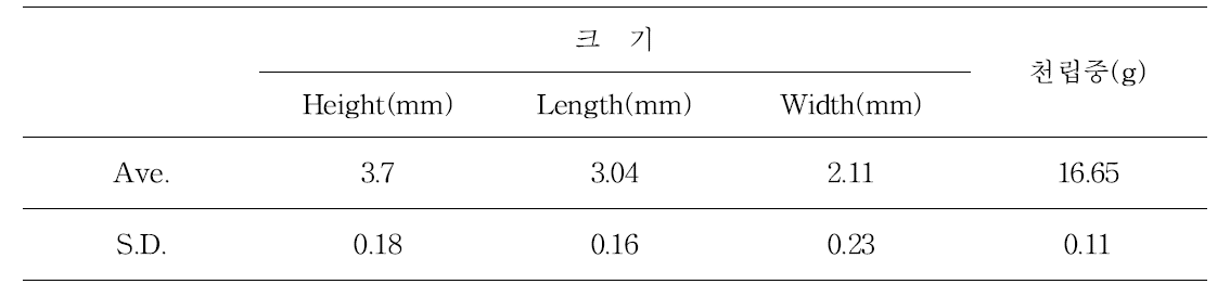 무 종자 물리적 특성 조사