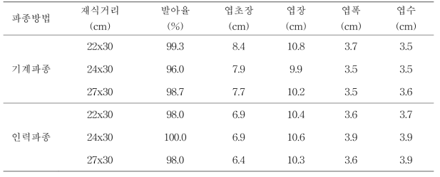 파종 15일 후 초기 생육