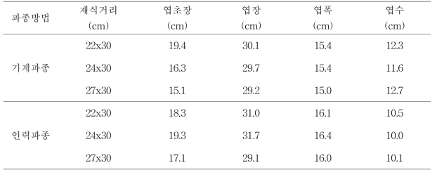 파종 25일 후 중간 생육