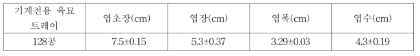 배추 기계 정식 시험용 트레이 육묘 특성 (2019. 9.25.)