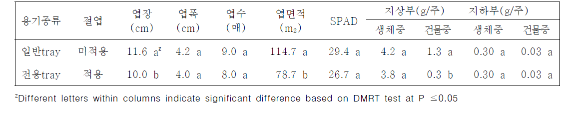 가을 배추 정식시험용 트레이 육묘 특성 비교 (완주, ‘20)