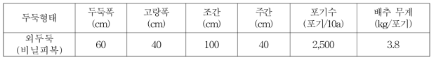 배추 수확시험포장 조건(2차, 증평)