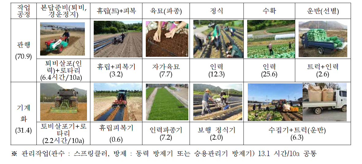 배추 생산 전과정 기계화 작업체계