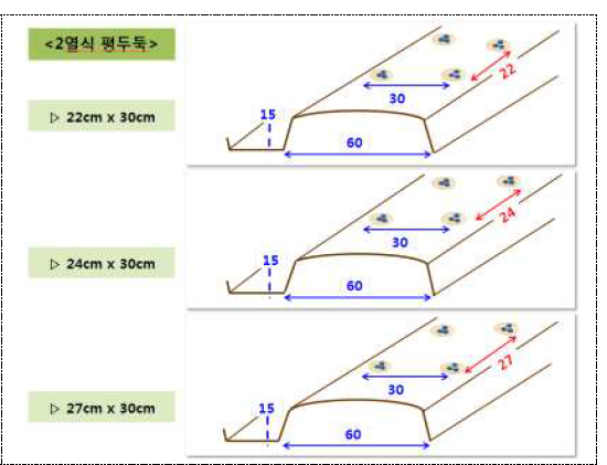 재식거리별 재배 두둑