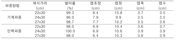 파종 후 15일 기계파종과 인력파종의 초기 생육 (홍성, 2018.9.20)