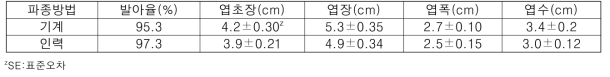 파종 후 30일 기계파종과 인력파종의 무 생육 (영암, 2019. 3.26.)