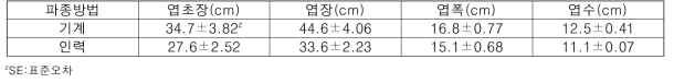 파종 후 60일 기계파종과 인력파종의 무 생육 (영암, 2019. 4.23.)