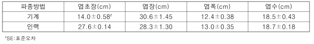 파종 후 57일에 기계파종과 인력파종시 무 생육 (홍성, 2019. 5.21.)