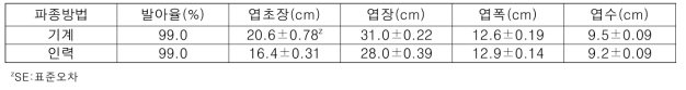 파종 후 31일 기계파종과 인력파종시 무 생육 (나주, 2019. 9.26.)