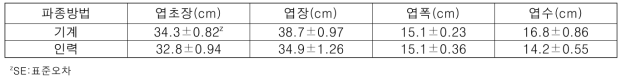 파종 후 51일 기계파종과 인력파종시 무 생육 (나주, 2019.10.17.)